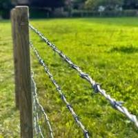Barbed Wire Fence